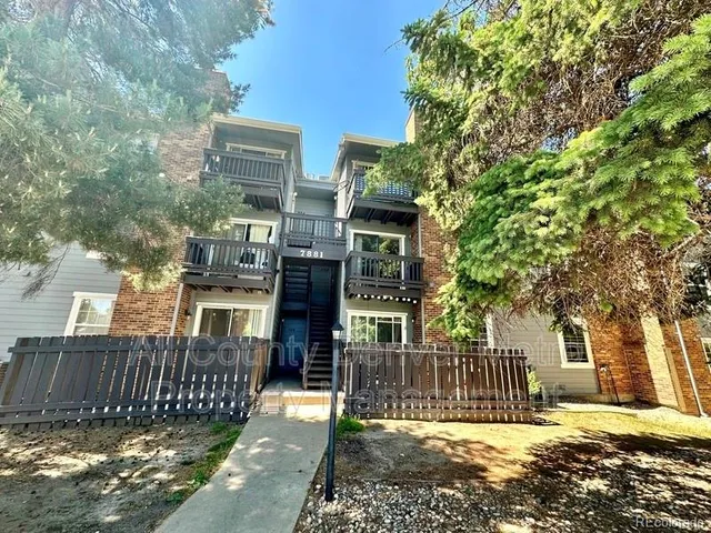 front view of a house with a large tree