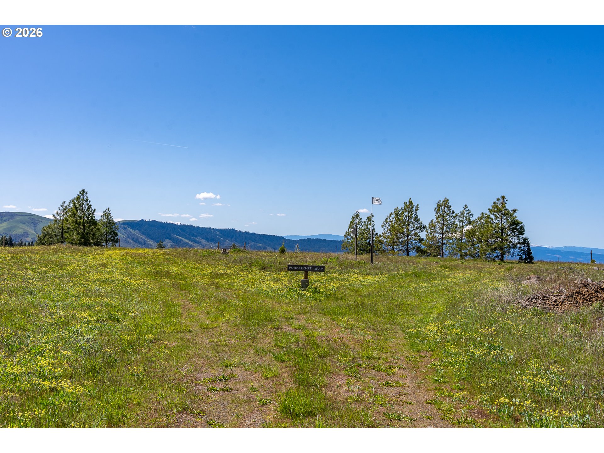 Morris Road Lyle, WA 98635 - Photo 6 of 45