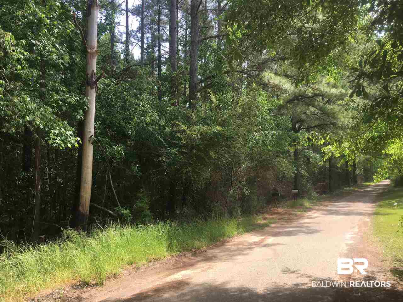 390 Fish Hook Road Brewton, AL 36426 - Photo 1 of 4
