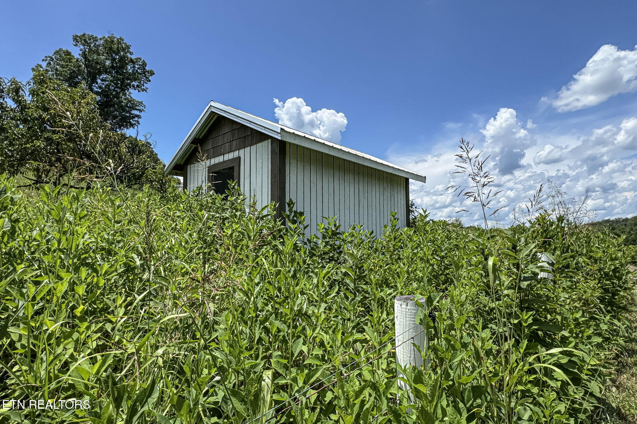 2413 Lynx Road New Market, TN 37820 - Photo 47 of 57 IMG_10016