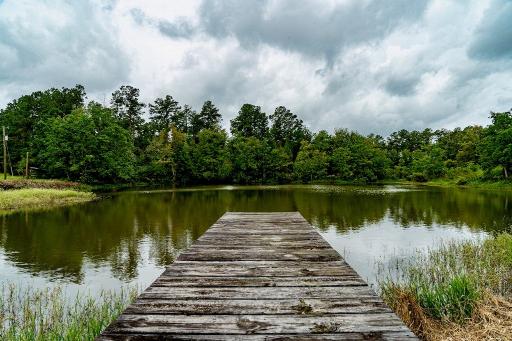 7312 Hall Webb Road Hahira, GA 31632 - Photo 5 of 35 Gallery Image 5