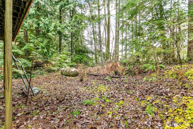 a view of a garden with plants and wooden fence