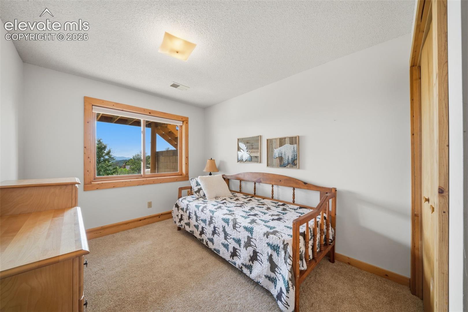 4269 County Road 51 Road Divide, CO 80814 - Photo 18 of 39 Basement level bedroom