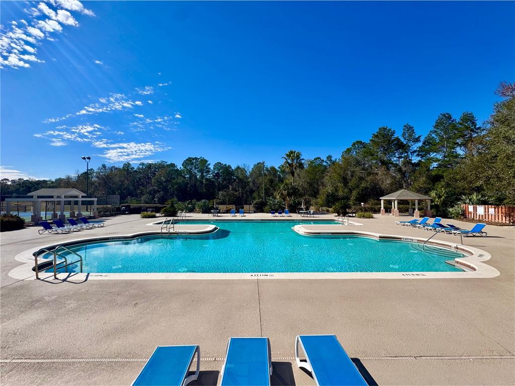 4423 Northwest 36th Street Gainesville, FL 32605 - Photo 36 of 43 a view of swimming pool and outdoor space