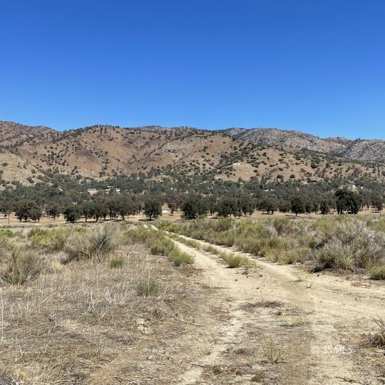 Sample Road Caliente, CA 93518 - Photo 8 of 9