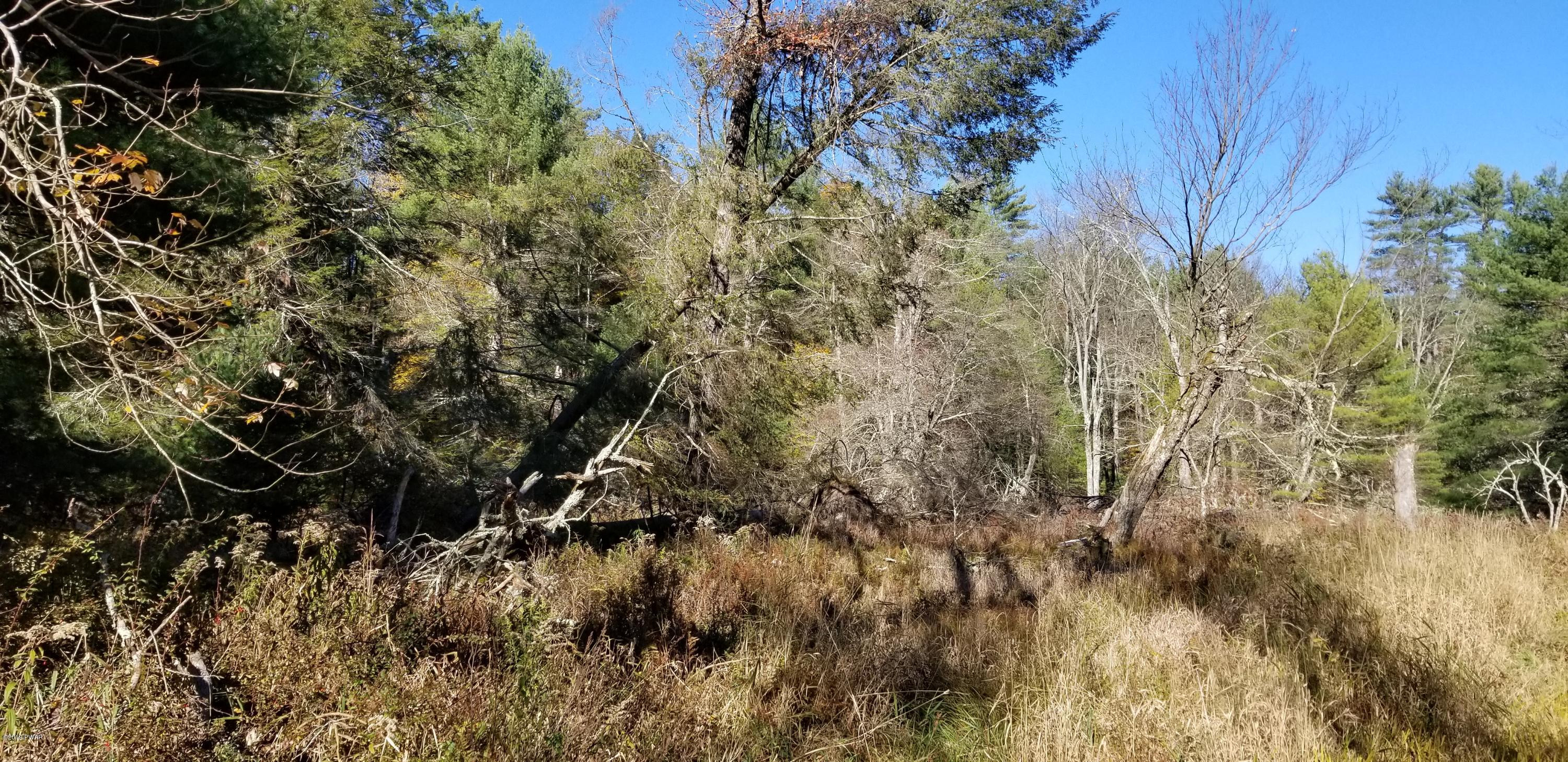 Lot #22 Swamp Pond Road Narrowsburg, NY 12764 - Photo 20 of 36