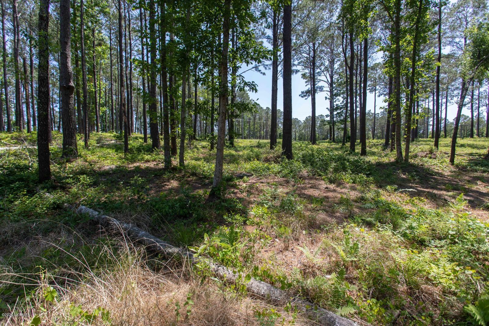 263 Gus Horne Road Holly Ridge, NC 28445 - Photo 11 of 23 Additional View