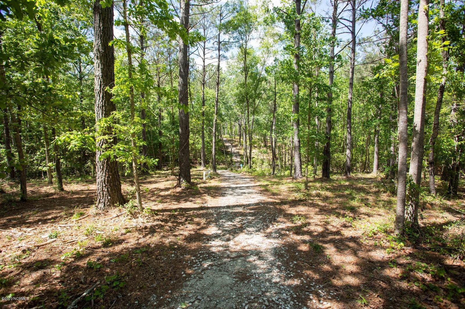 263 Gus Horne Road Holly Ridge, NC 28445 - Photo 21 of 23 Nature Trails (3)