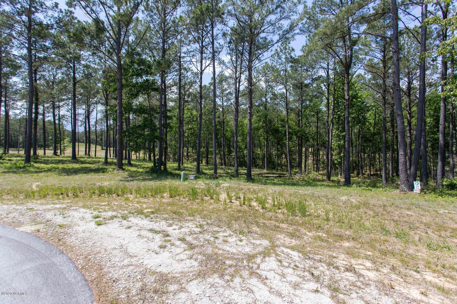 263 Gus Horne Road Holly Ridge, NC 28445 - Photo 10 of 23 Street View