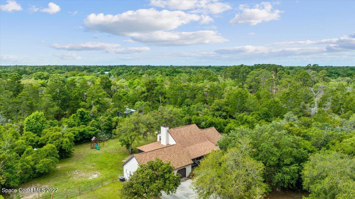 3655 Grant Line Road Mims, FL 32754 - Photo 37 of 47 a view of a bunch of trees