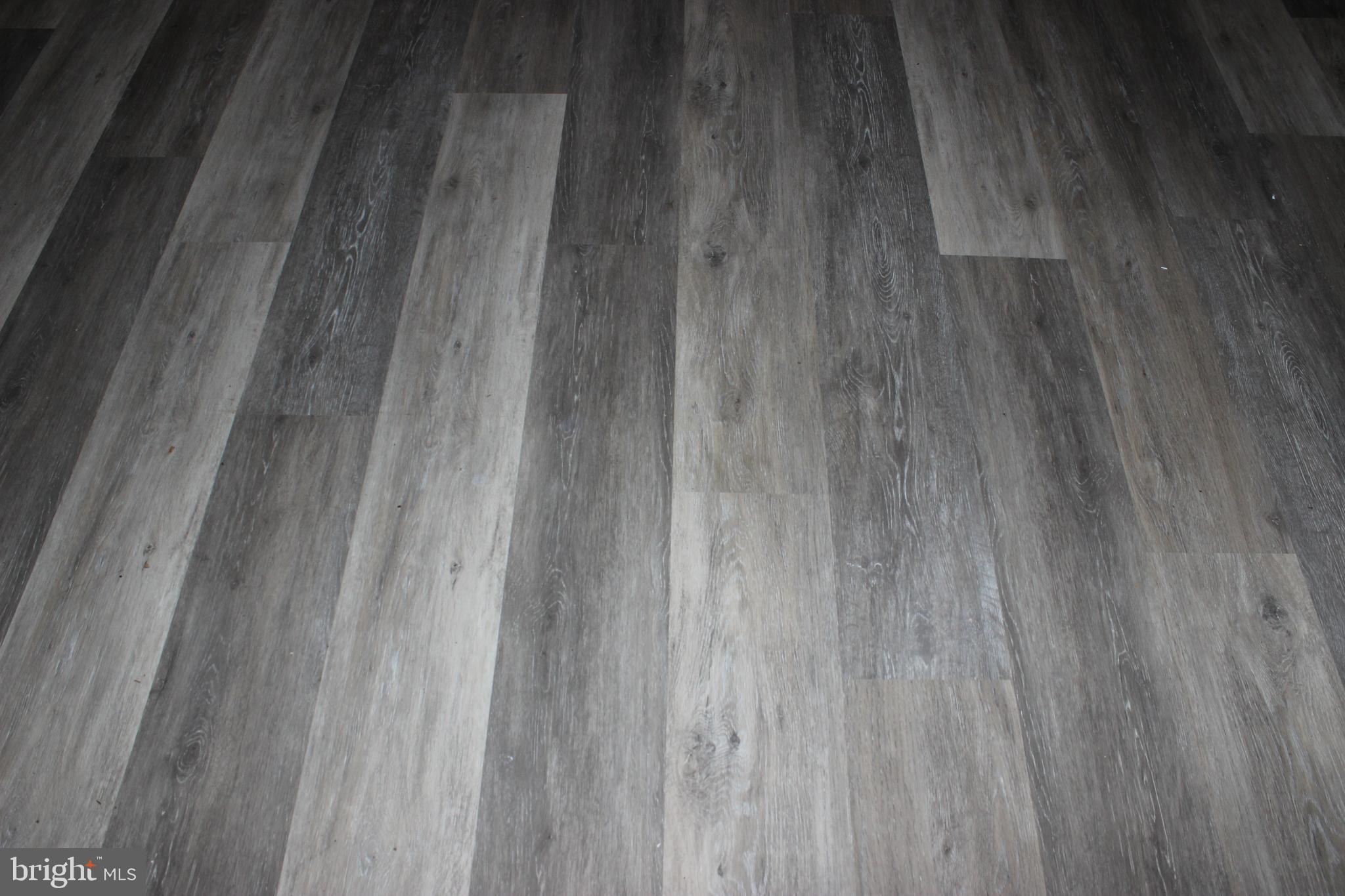 5205 Cooper Road Eden, MD 21822 - Photo 25 of 26 Luxury plank vinyl