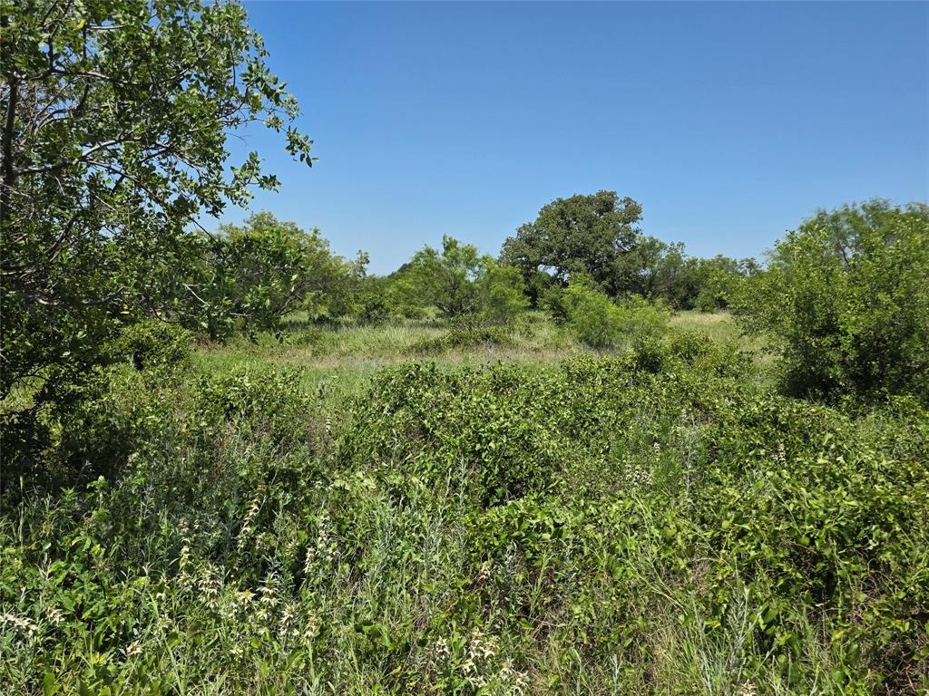 1000 County Road 375 Rising Star, TX 76471 - Photo 34 of 40