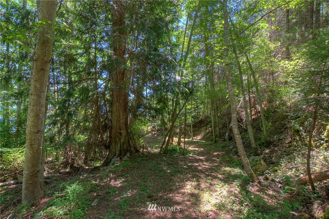0 Eastsound Shores Road Orcas Island, WA 98245 - Photo 14 of 29 Gallery Image 14
