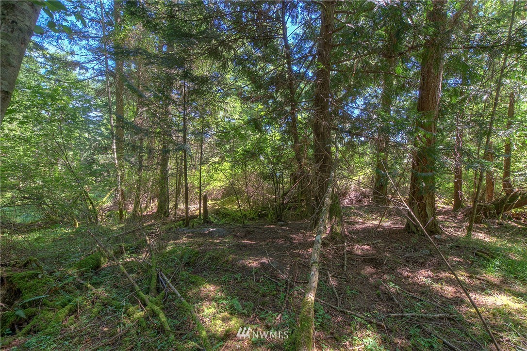 0 Eastsound Shores Road Orcas Island, WA 98245 - Photo 22 of 29 Gallery Image 22