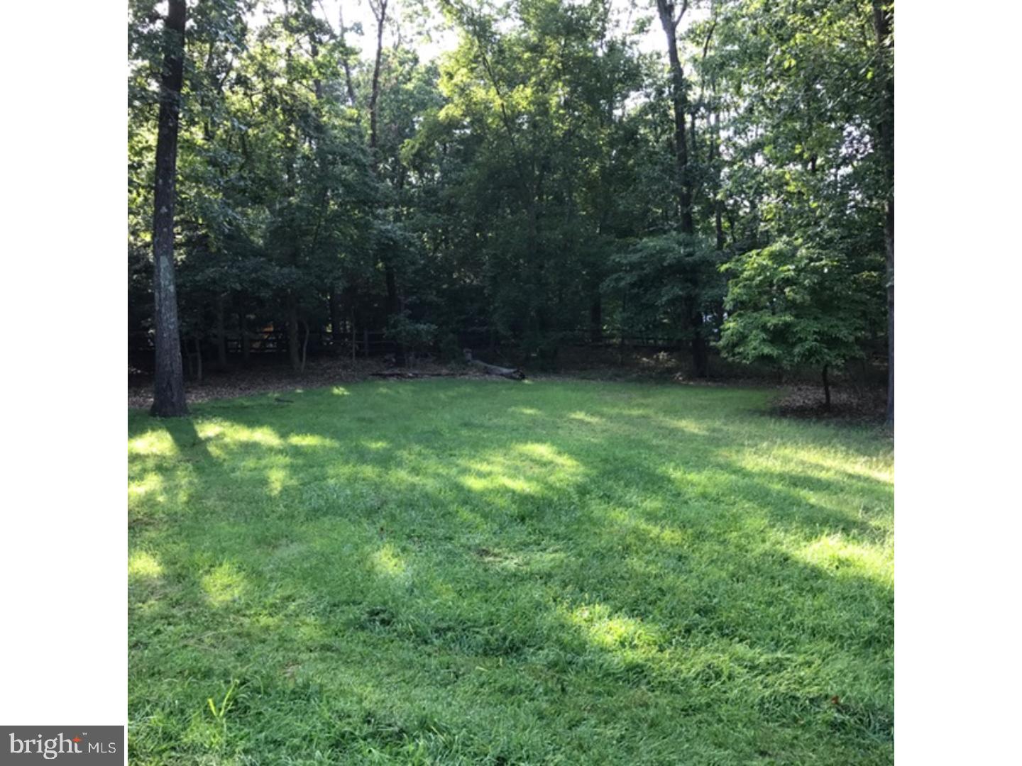 9 Blueberry Road Shamong, NJ 08088 - Photo 22 of 24 Back Yard