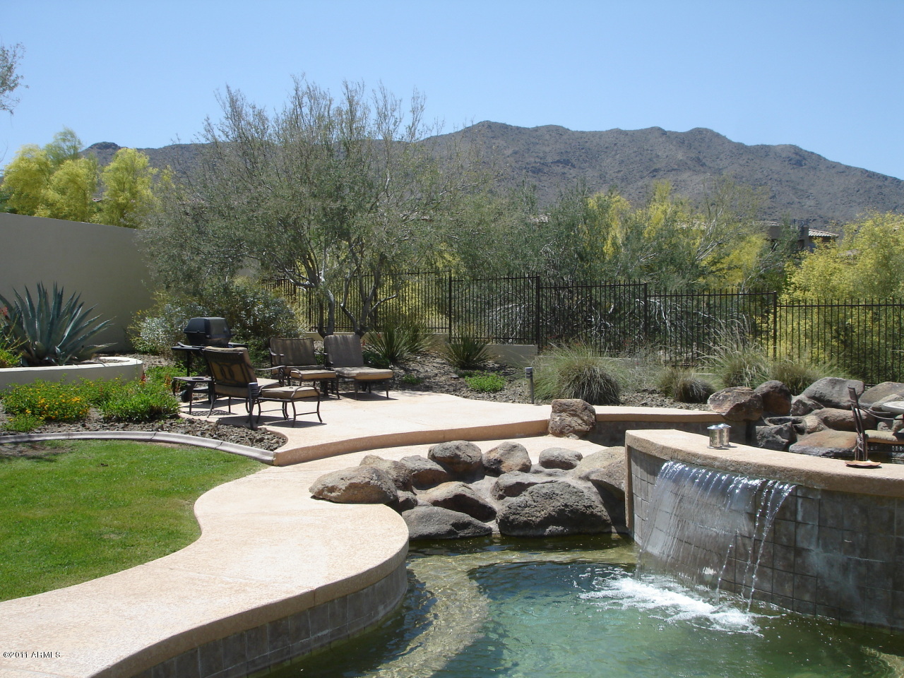 Backyard 1