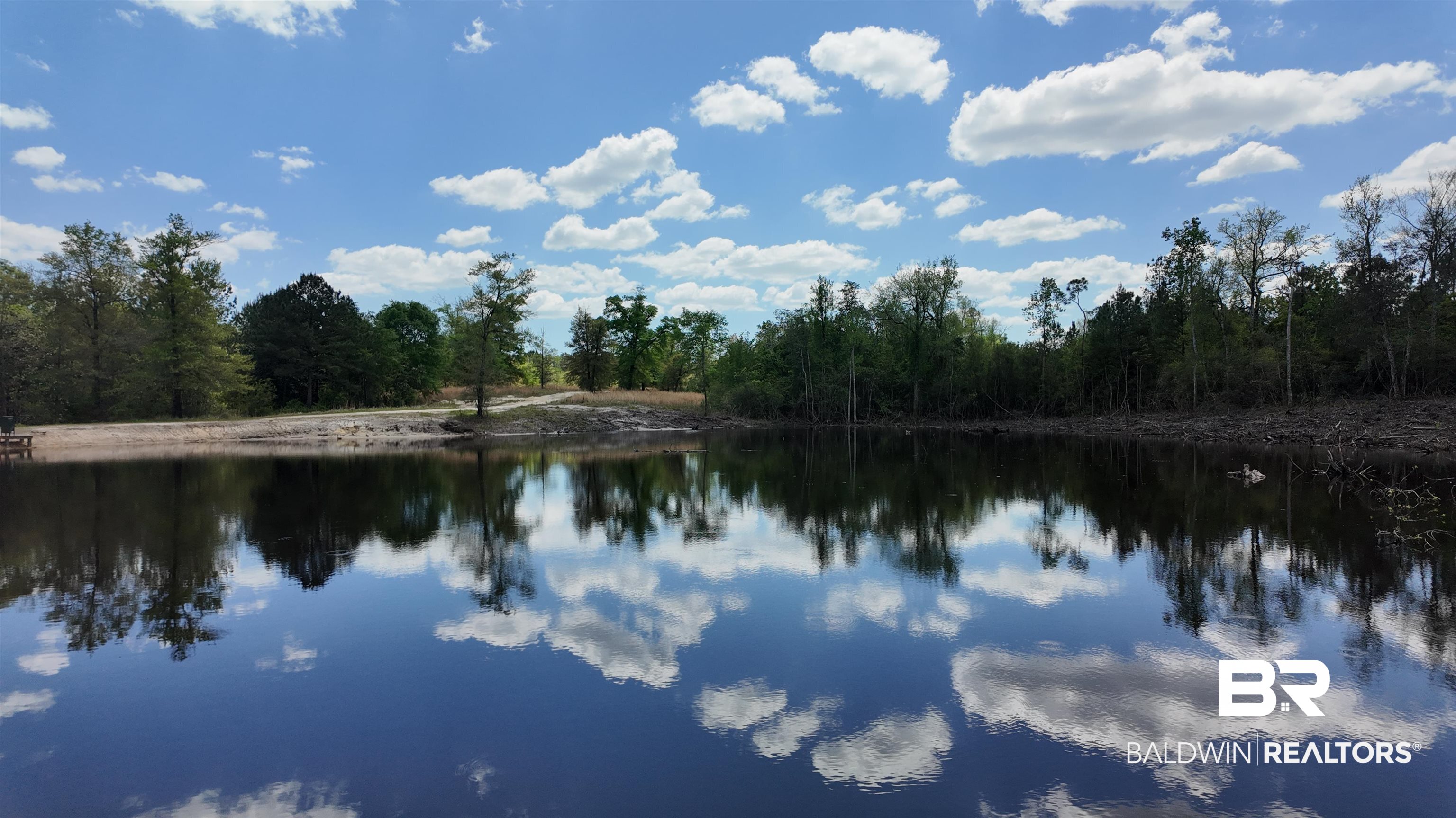 0 Powell Road Eight Mile, AL 36613 - Photo 56 of 57