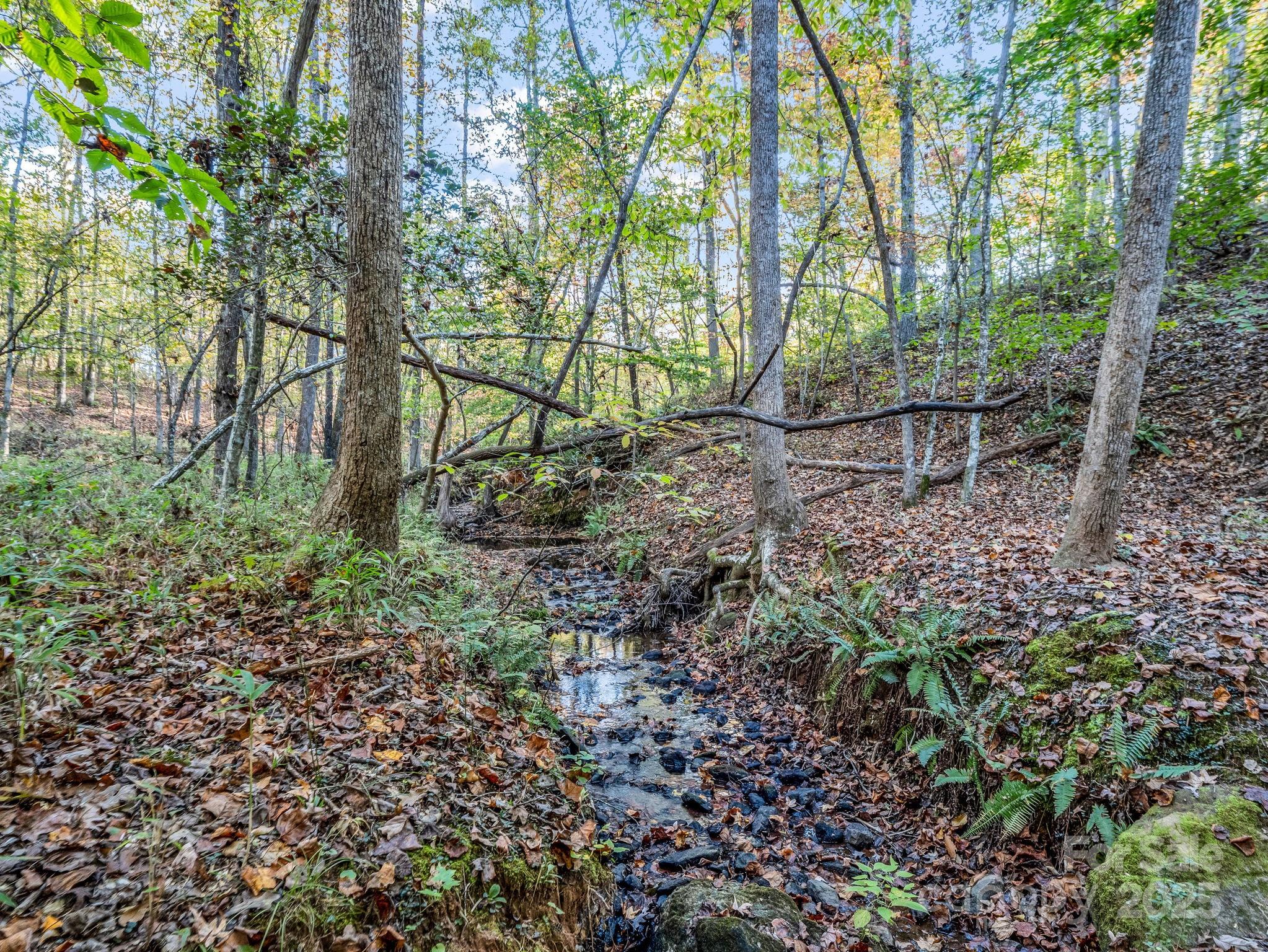 663 Landrum Road Columbus, NC 28722 - Photo 24 of 40 a view of forest