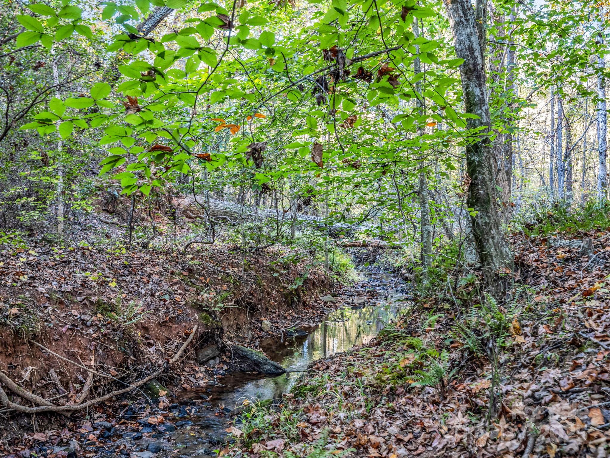 663 Landrum Road Columbus, NC 28722 - Photo 25 of 40 a view of a garden with a tree