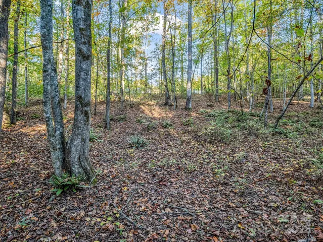 a view of outdoor space and green space
