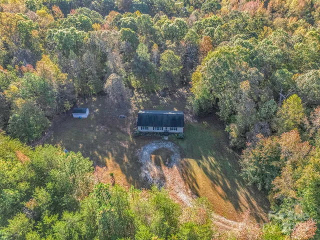 a view of a forest with trees in the background