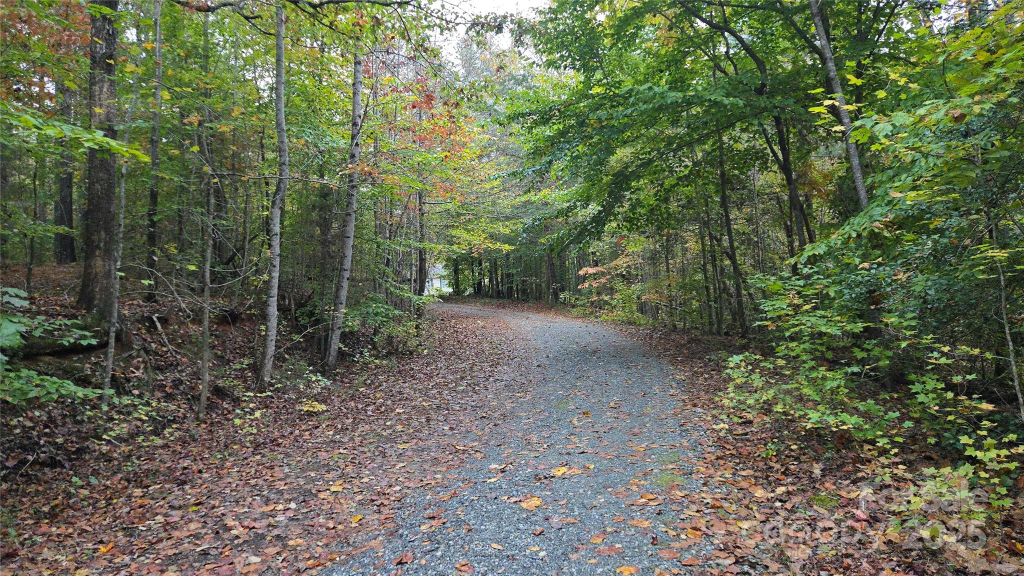 663 Landrum Road Columbus, NC 28722 - Photo 34 of 40 a view of a forest with trees in the background