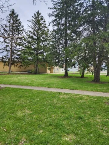 a view of a park with large trees