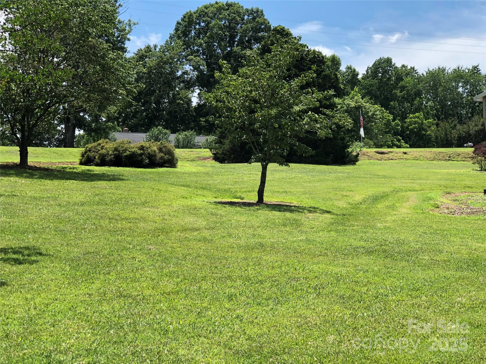 717 Pine Mountain Road Hudson, NC 28638 - Photo 2 of 31 a view of garden with trees