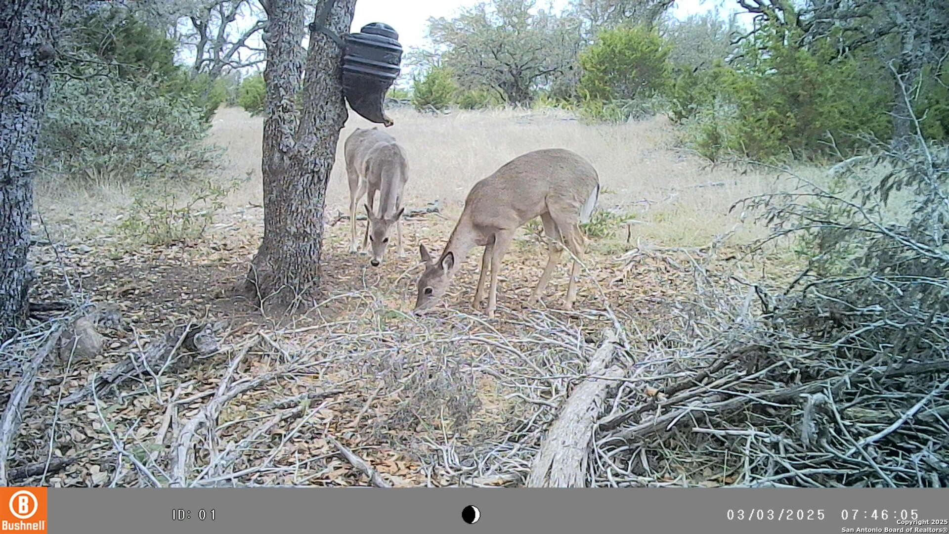 Lot 8 Orion Way Junction Junction, TX 76849 - Photo 18 of 22