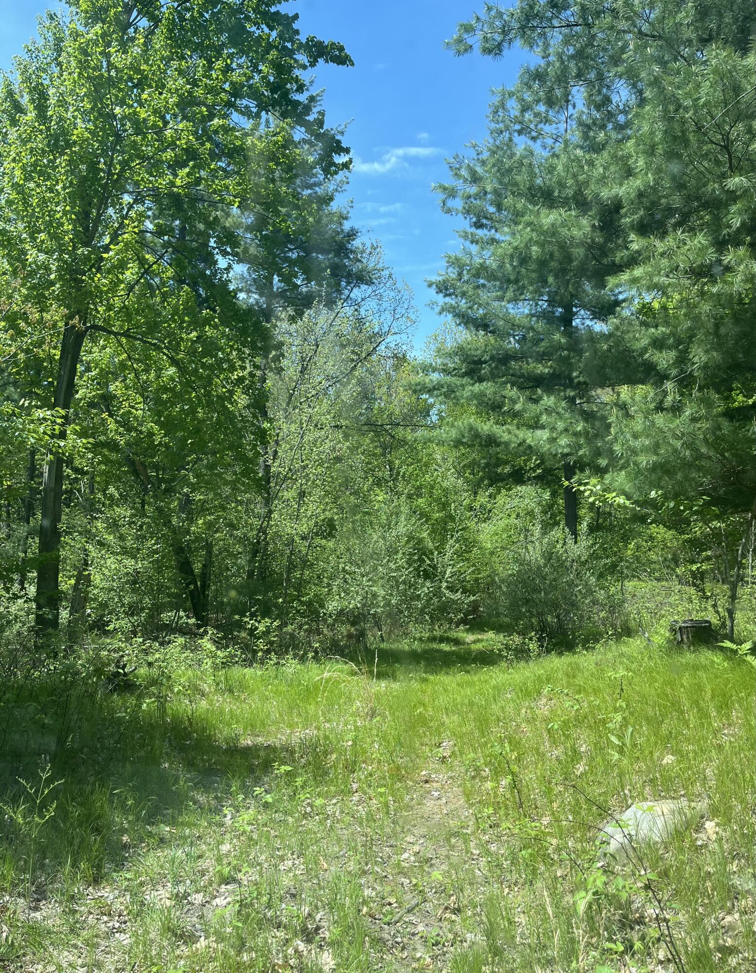 3685 Cypress Road Blanchard, MI 49310 - Photo 6 of 7 IMG_9463