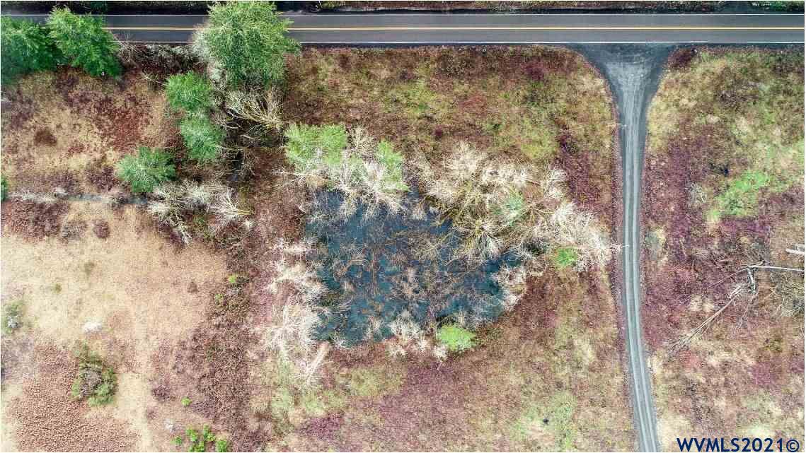 Gooseneck (parcel 289476) Road Sheridan, OR 97378 - Photo 12 of 23