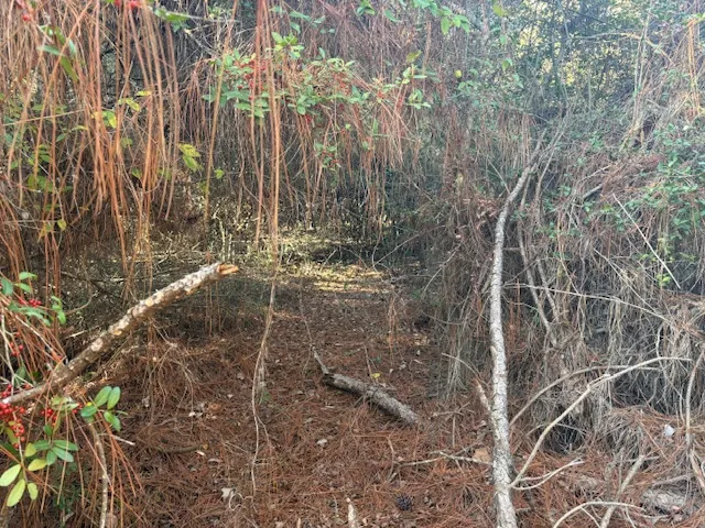 a backyard of a house