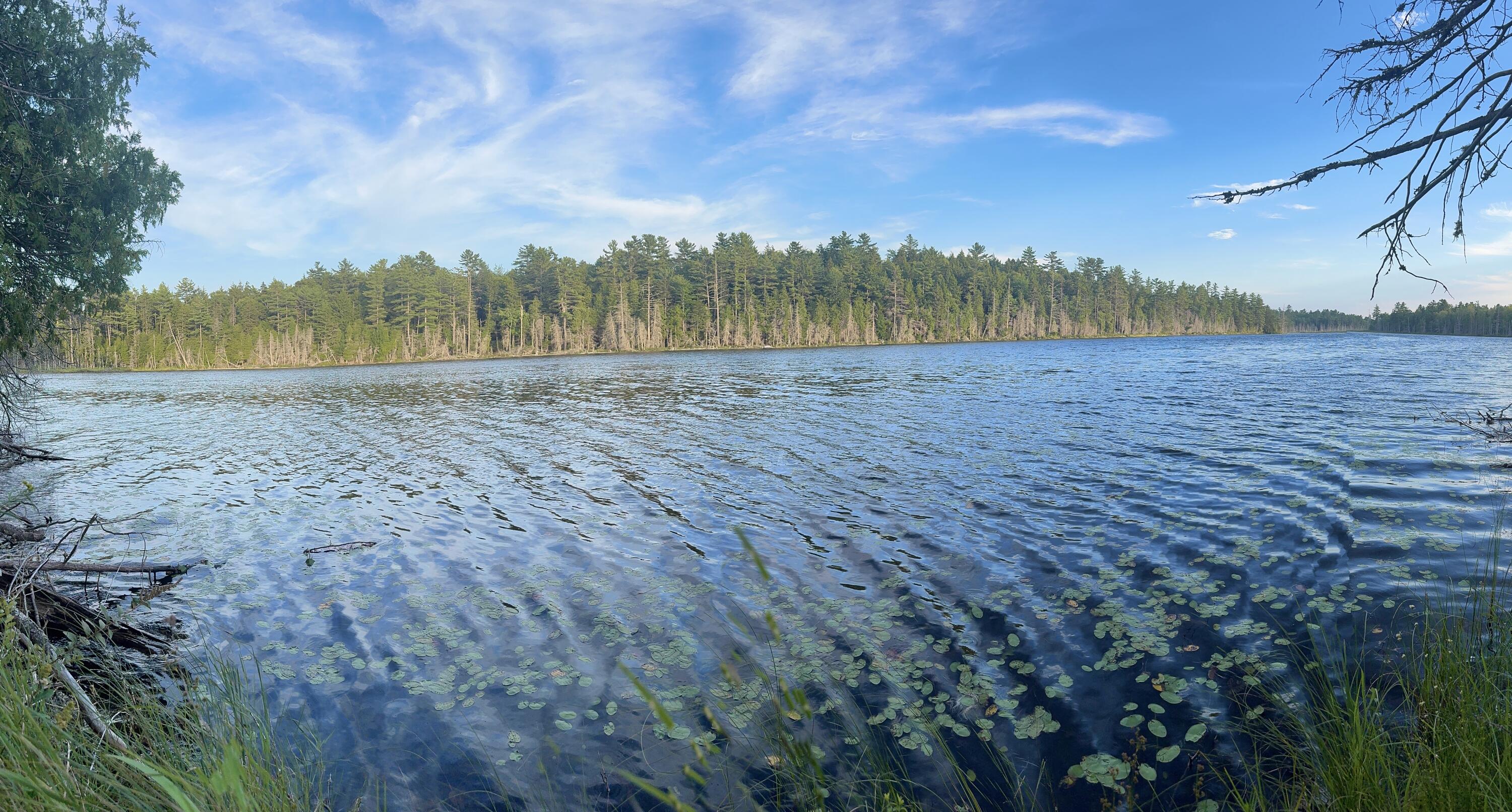 Lot 3 Little Pond Road Aurora, ME 04408 - Photo 1 of 11 20250813_224338003_iOS