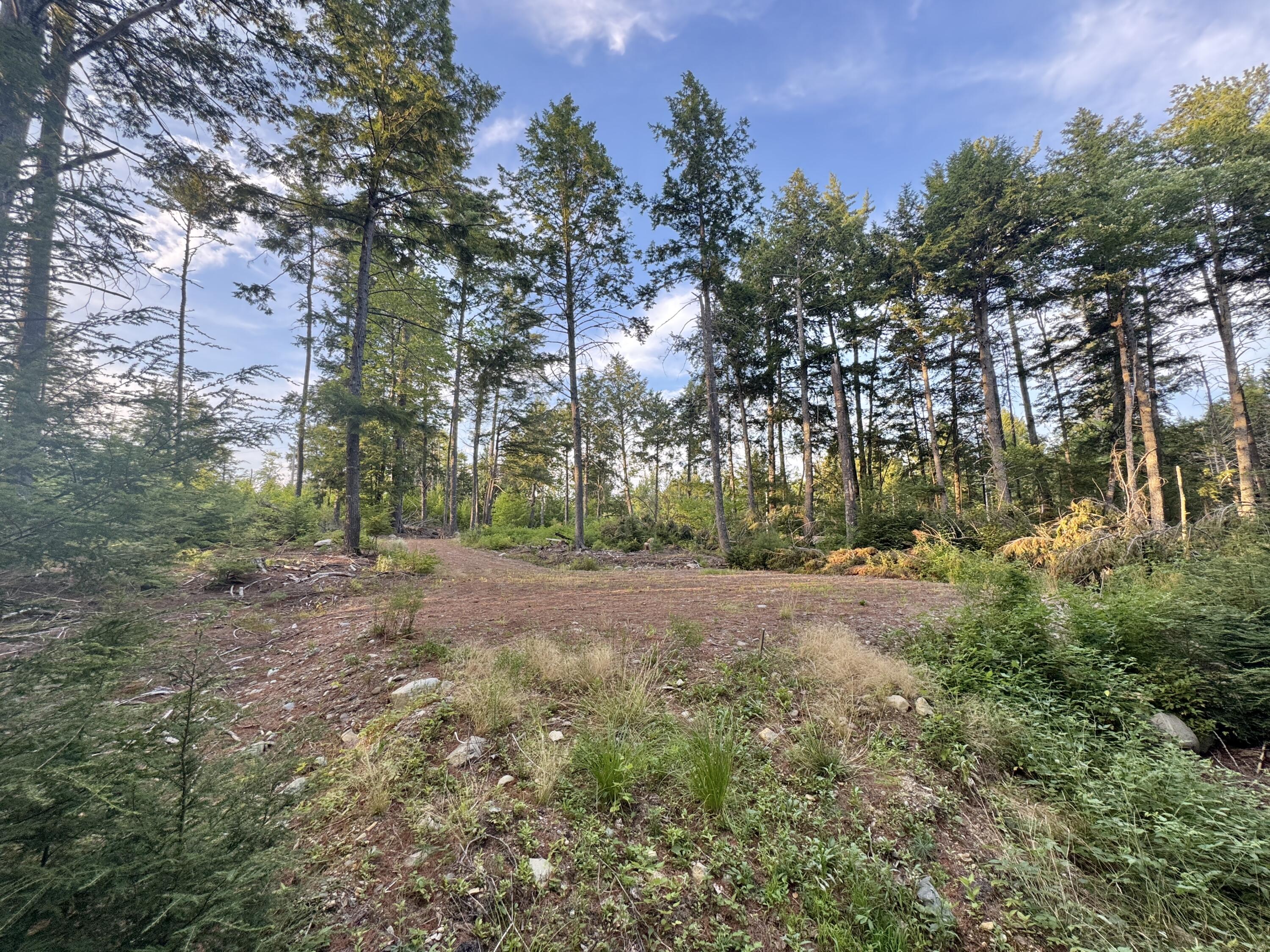 Lot 3 Little Pond Road Aurora, ME 04408 - Photo 11 of 11 20250813_224654609_iOS