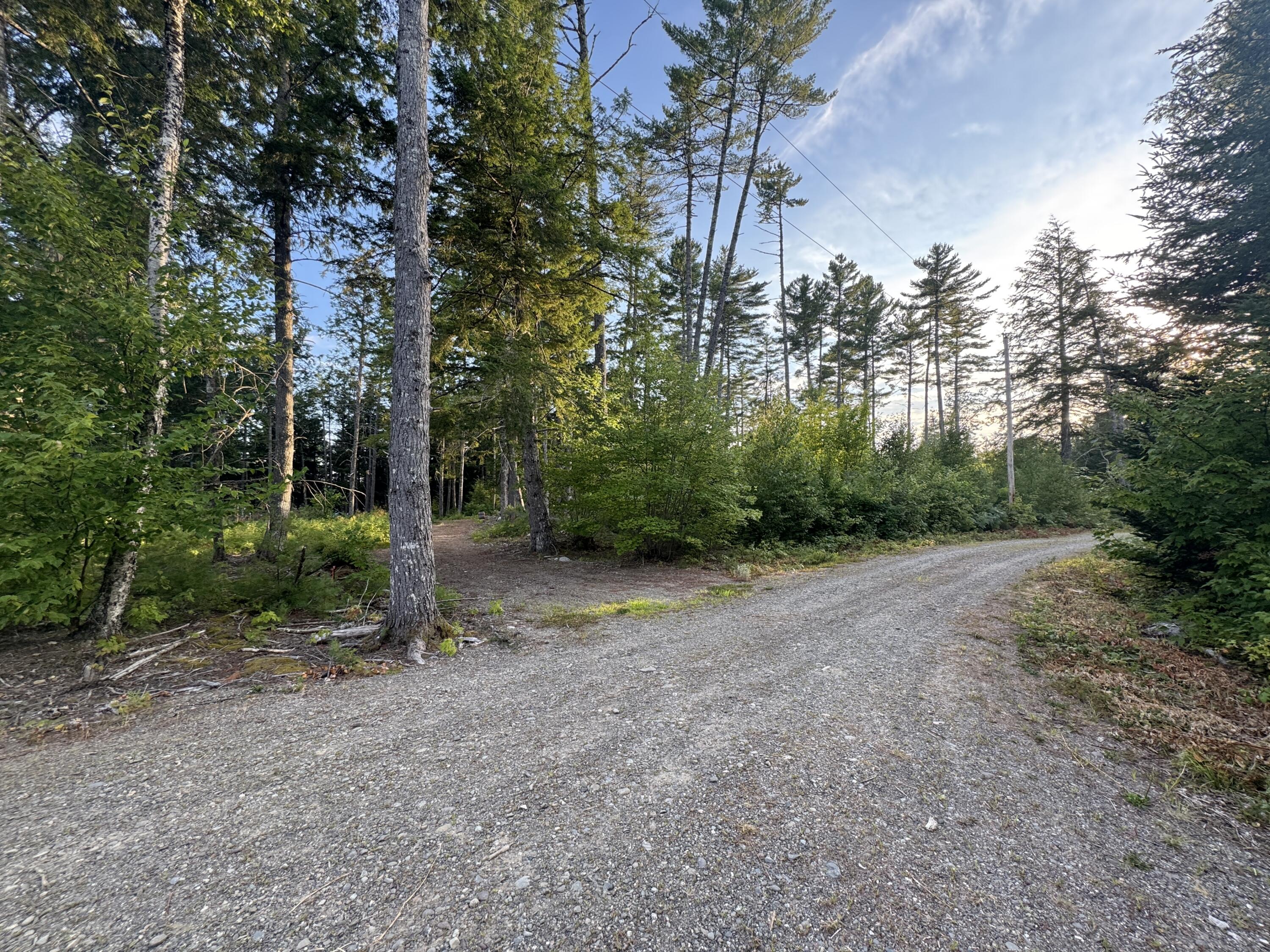 Lot 3 Little Pond Road Aurora, ME 04408 - Photo 2 of 11 20250813_223419583_iOS