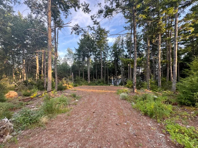 $85,000 | Lot 3 Little Pond Road, Aurora, ME 04408