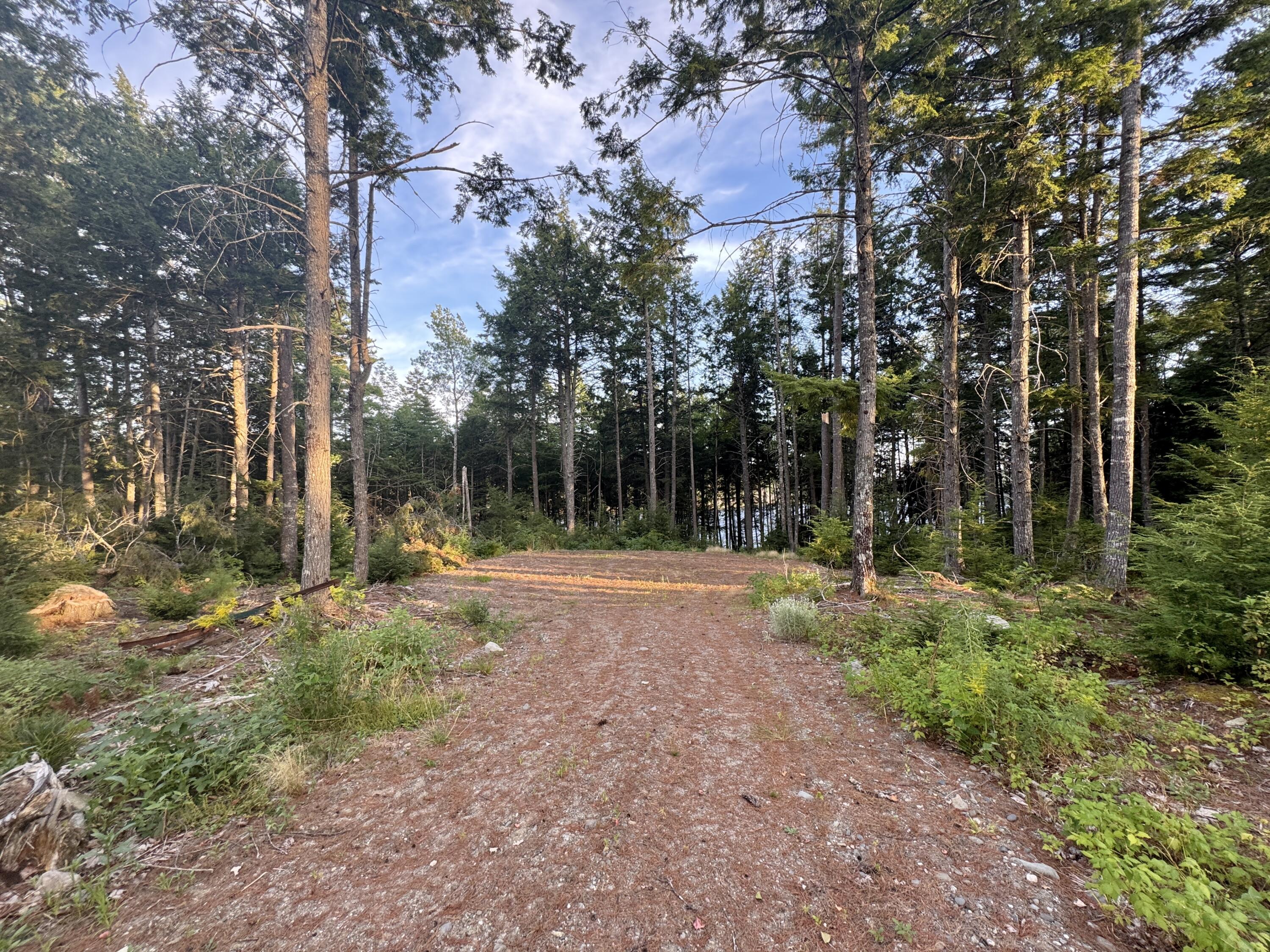 Lot 3 Little Pond Road Aurora, ME 04408 - Photo 3 of 11 20250813_223512414_iOS