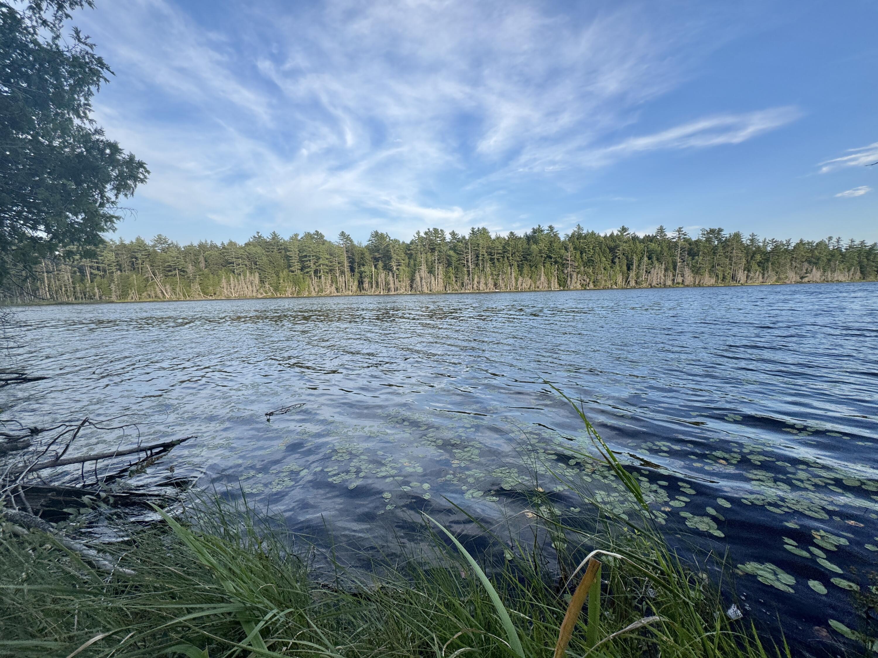 Lot 3 Little Pond Road Aurora, ME 04408 - Photo 5 of 11 20250813_224330357_iOS