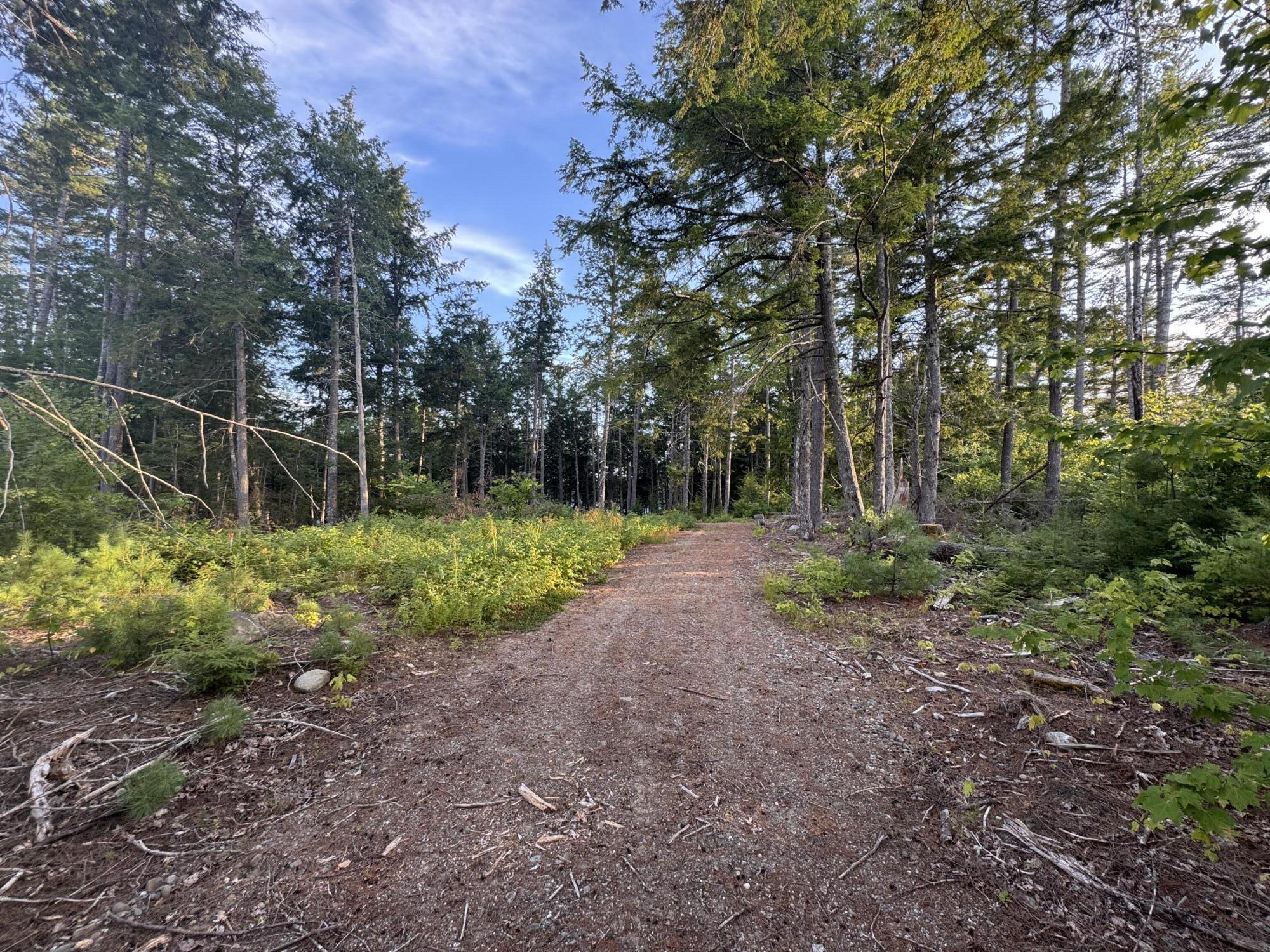 Lot 3 Little Pond Road Aurora, ME 04408 - Photo 7 of 11 20250813_223443134_iOS