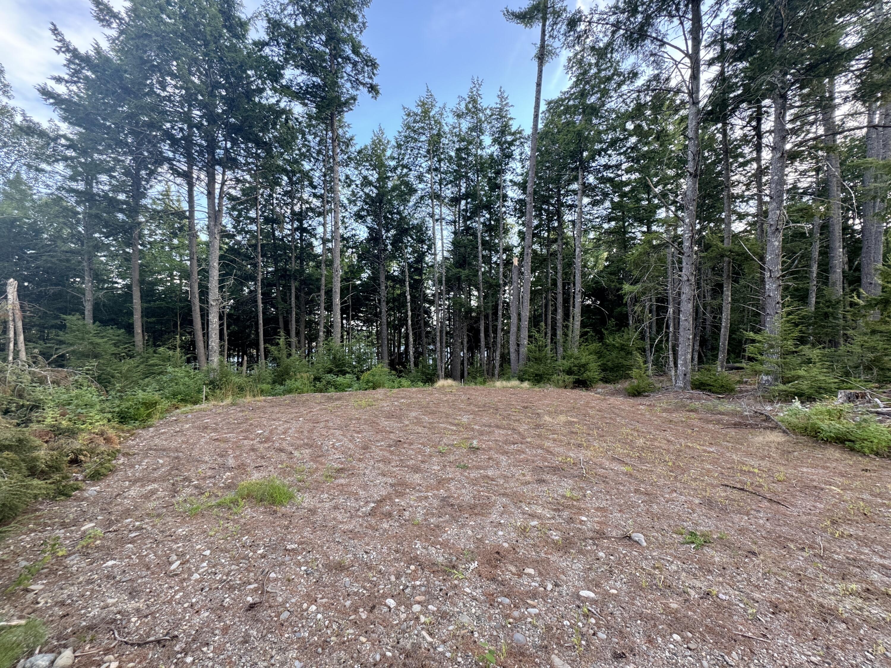 Lot 3 Little Pond Road Aurora, ME 04408 - Photo 8 of 11 20250813_224039647_iOS