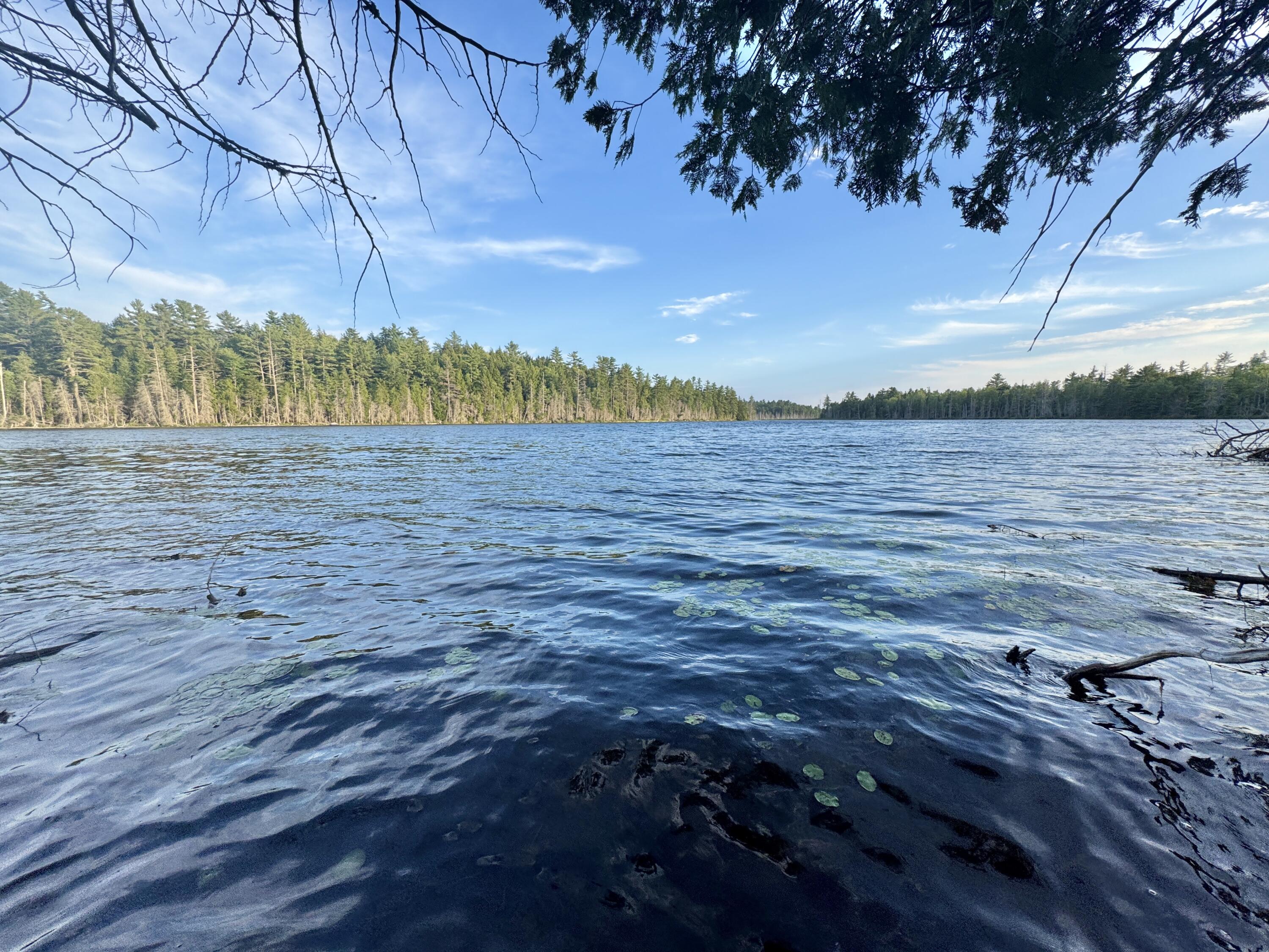 Lot 3 Little Pond Road Aurora, ME 04408 - Photo 9 of 11 20250813_224506131_iOS