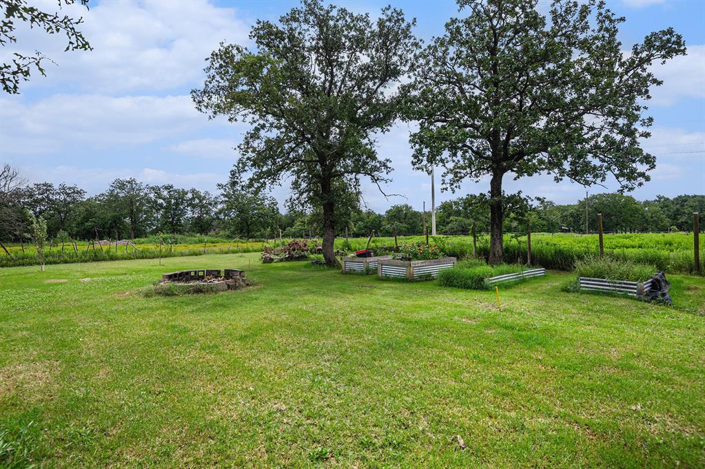 150 County 2110 Road Whitney, TX 76692 - Photo 4 of 21 a view of a park with large trees