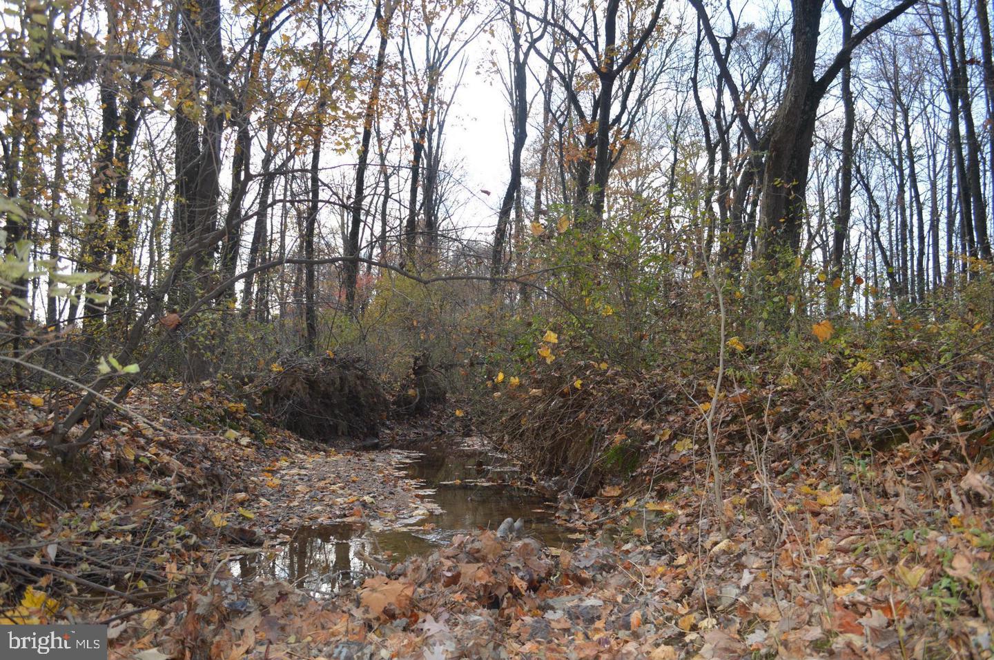 0 East Joppa Road Perry Hall, MD 21128 - Photo 3 of 5 a view of a forest with a tree