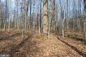 a view of small space with wooden fence