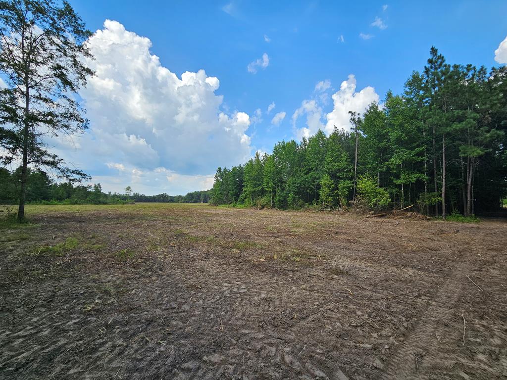 L5 New Hinson Road Slocomb, AL 36375 - Photo 13 of 23