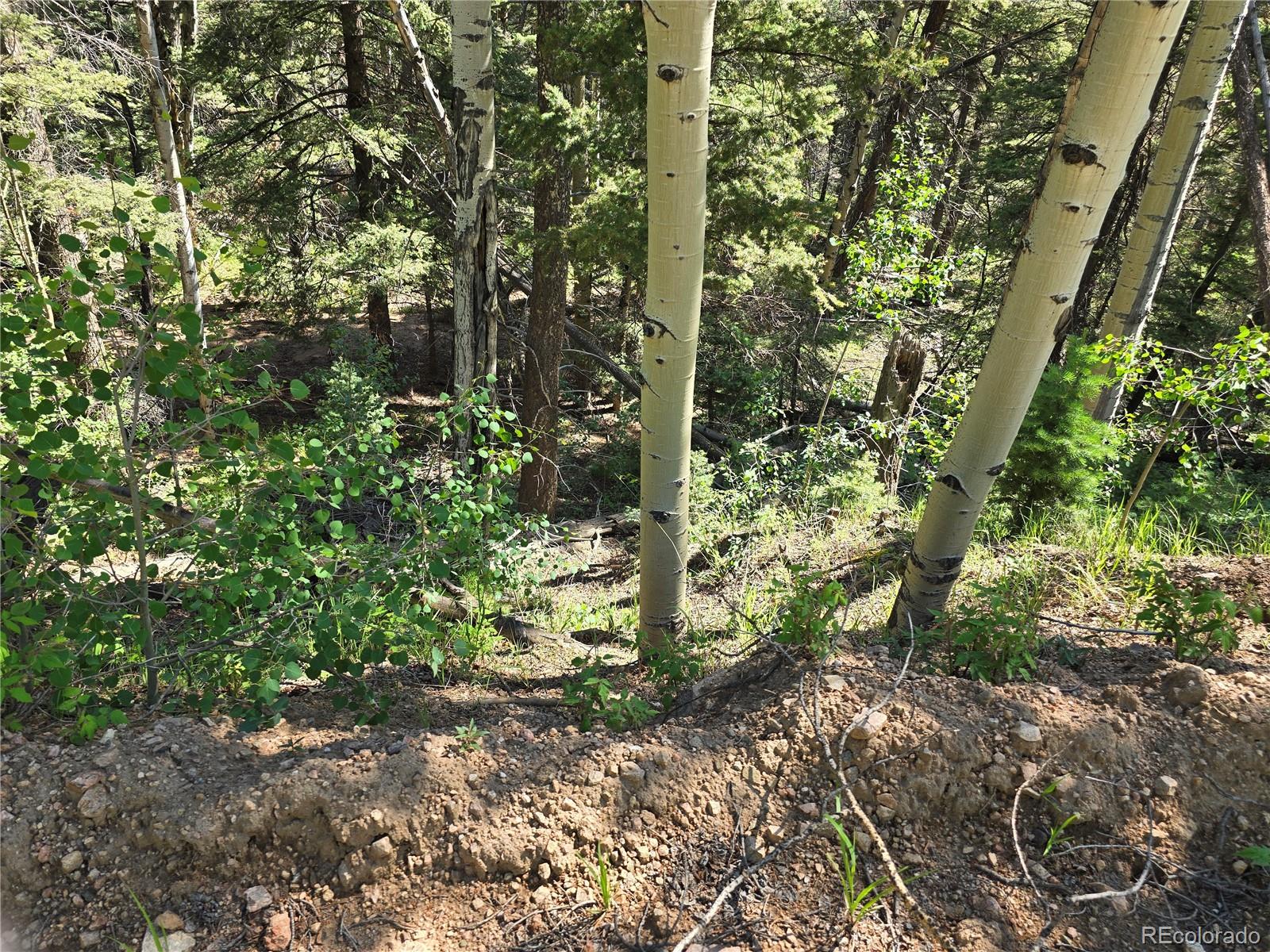 6243 Malcolm Road San Luis, CO 81152 - Photo 15 of 16 Gallery Image 15