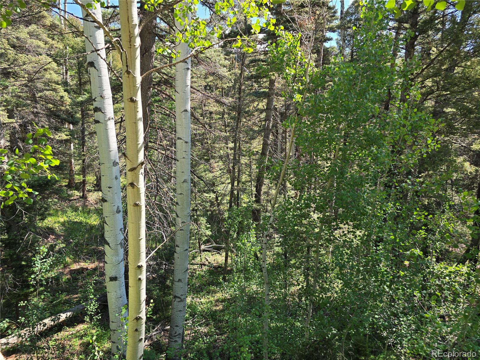 6243 Malcolm Road San Luis, CO 81152 - Photo 4 of 16 Gallery Image 4