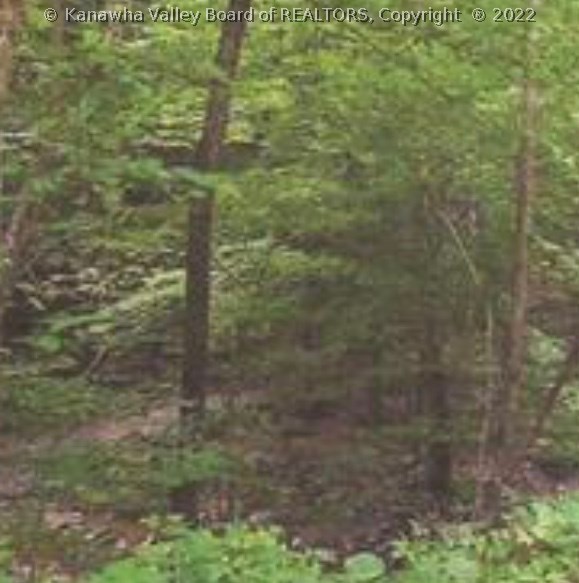 0 Kettle Road Kenna, WV 25248 - Photo 3 of 4 Gallery Image 3