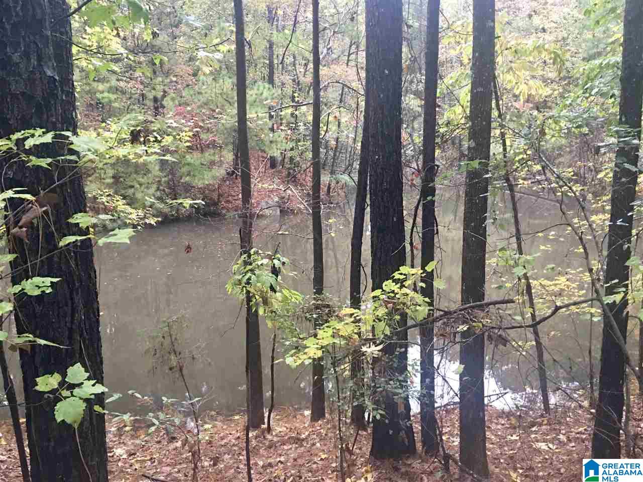 6761 Highway 10 Montevallo, AL 35115 - Photo 39 of 45