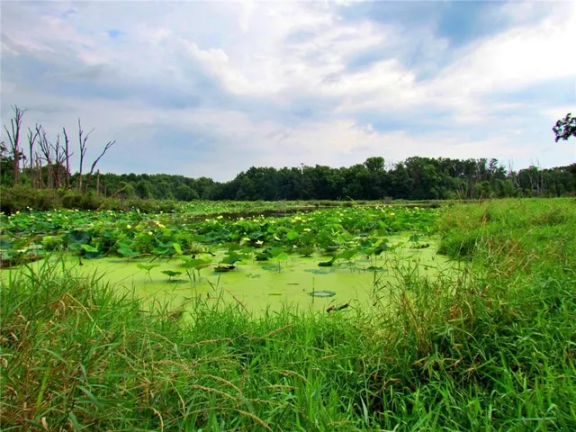 $575,000 | 24 Hwy Highway, Keytesville, MO 65261